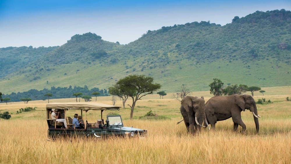 Nairobi: 3-Day Maasai Mara Safari | ®ExcursionMania - Image 5