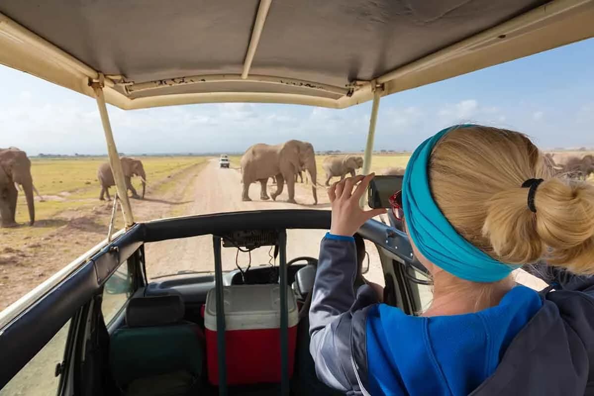 Tsavo East National Park: 2-Day Tour from Mombasa | ®ExcursionMania - Image 1