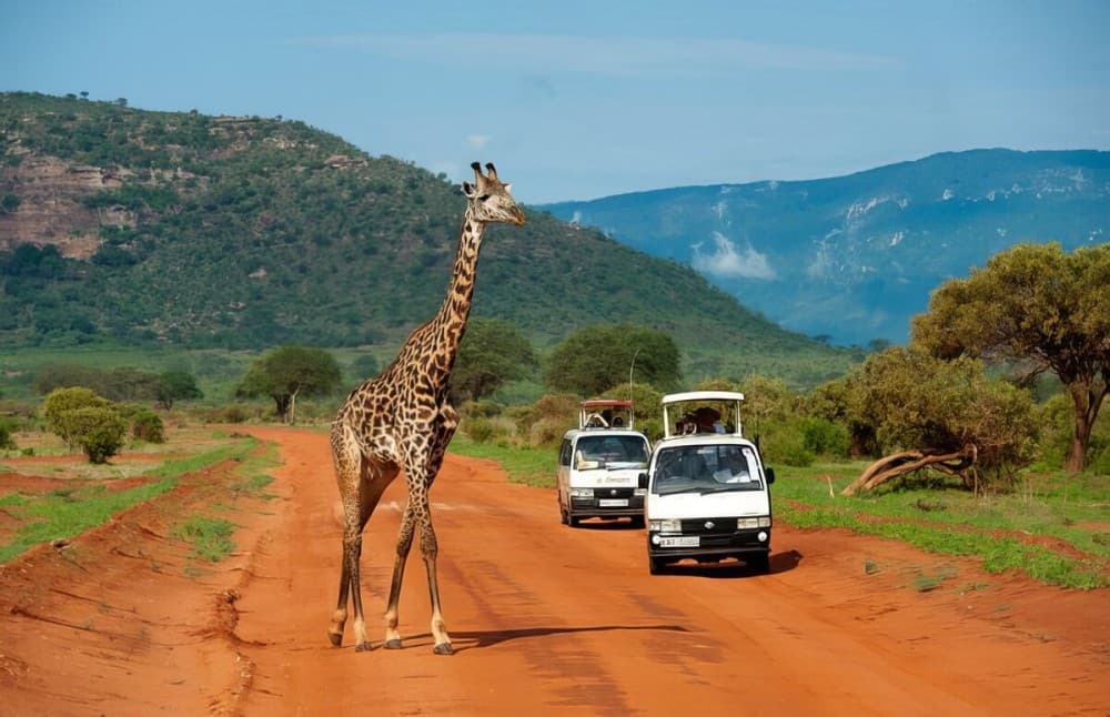 Tsavo East National Park: 2-Day Tour from Mombasa | ®ExcursionMania - Image 4