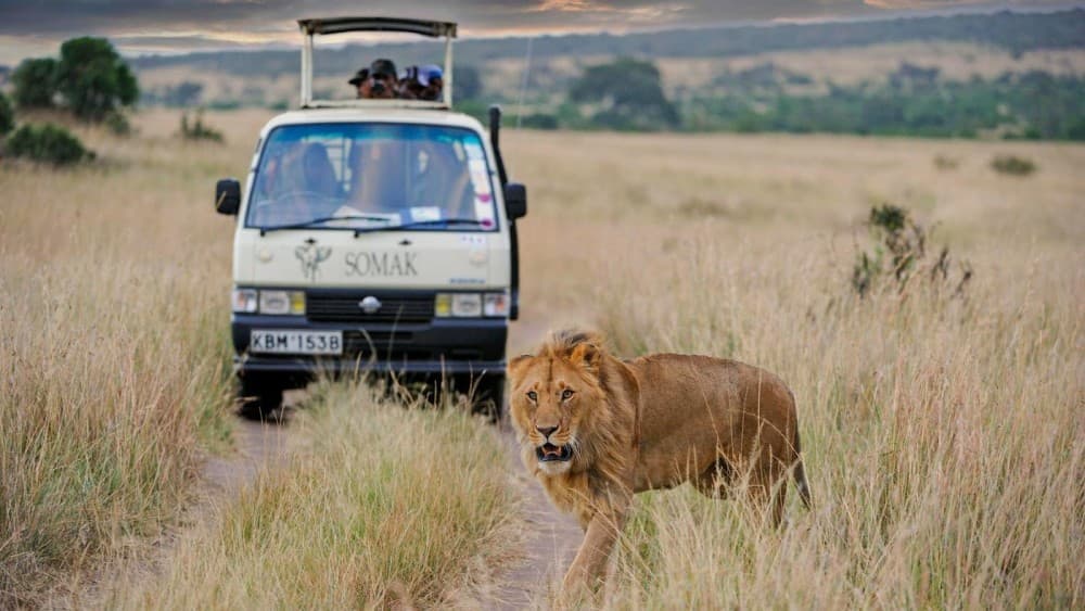 Tsavo East National Park: 2-Day Tour from Mombasa | ®ExcursionMania - Image 7