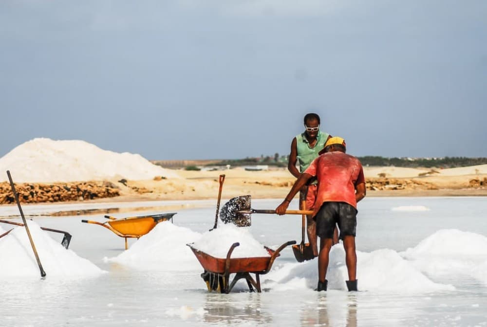 Sal island: Guided Historical and Cultural Tour | ®ExcursionMania - Image 6