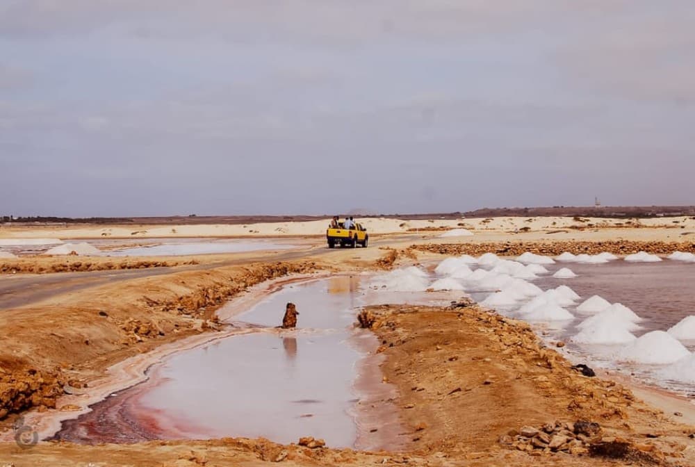 Sal island: Guided Historical and Cultural Tour | ®ExcursionMania - Image 10