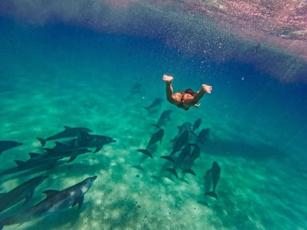 ZANZIBAR DOLPHIN TRIP | ®ExcursionMania - Image 2