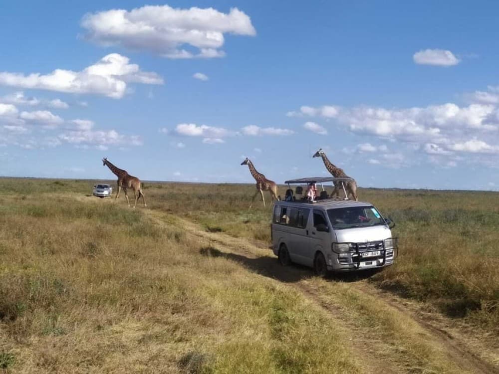 Lake Nakuru National Park Day Tour from Nairobi | ®ExcursionMania - Image 1