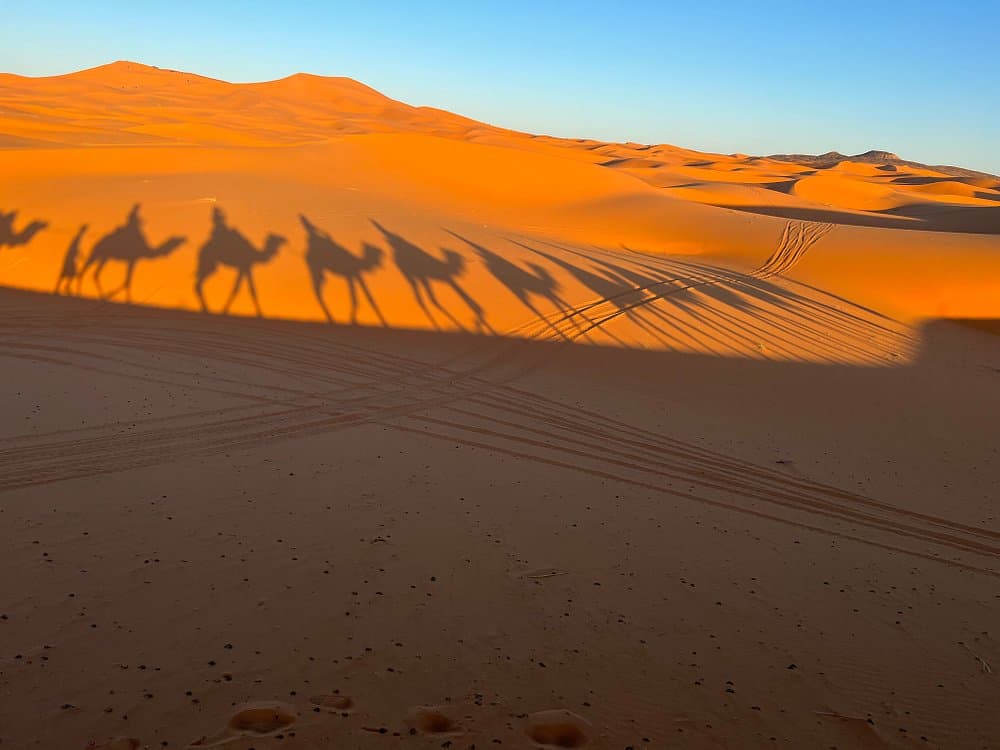 From Marrakech: 4 Days Trip to Chefchaouen via the Sahara & Camel Trek | ®ExcursionMania - Image 10