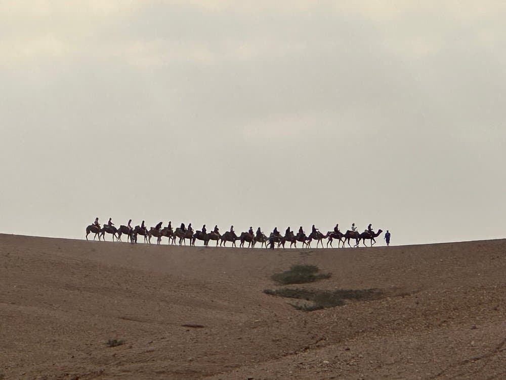 From Marrakech: 4 Days Trip to Chefchaouen via the Sahara & Camel Trek | ®ExcursionMania - Image 11