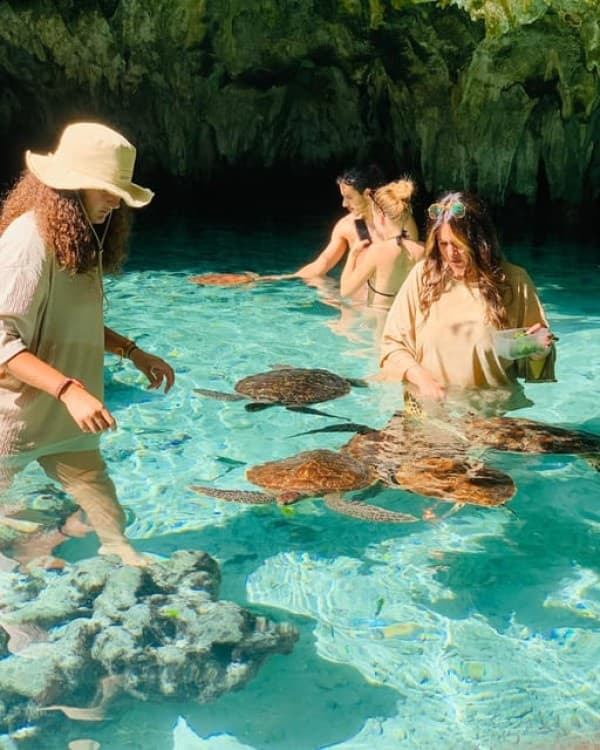 Salam Cave Turles Swimming, Paje Beach , the Rock Restaurant | ®ExcursionMania - Image 5