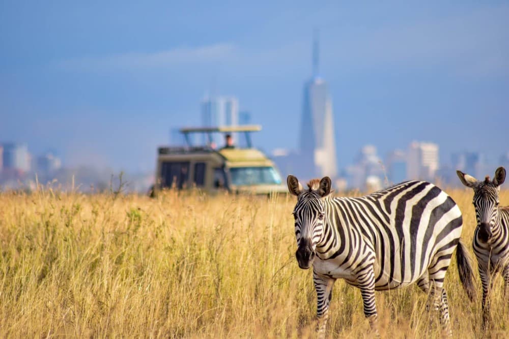 Half-Day Nairobi National Park Safari from Nairobi with Free Pickup | ®ExcursionMania - Image 8