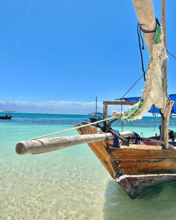 Safari Blue Zanzibar: Private Trip | ®ExcursionMania - Image 2