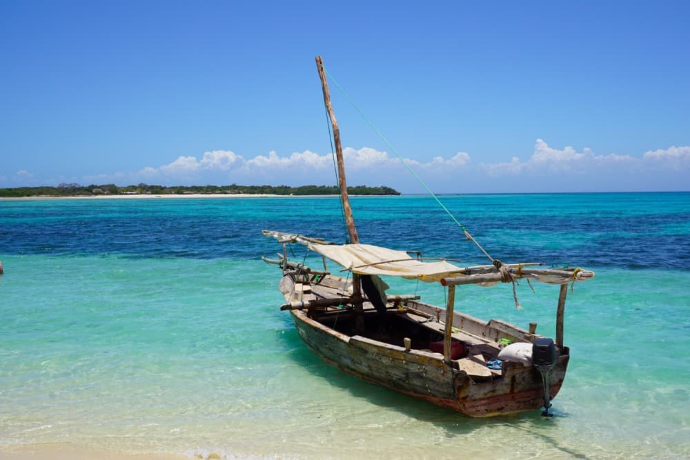 Safari Blue Zanzibar: Private Trip | ®ExcursionMania - Image 10