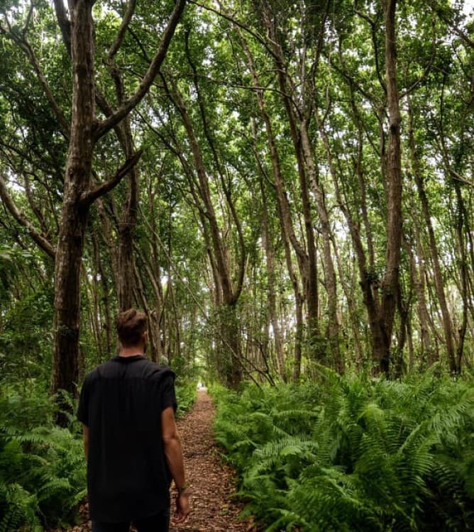 Zanzibar: Jozani Chwaka Bay National Park and Lunch | ®ExcursionMania - Image 7