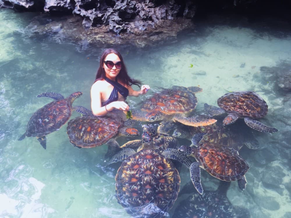 Salaam Cave Swimming with Sea Turtles in Zanzibar Kizimkazi | ®ExcursionMania - Image 5