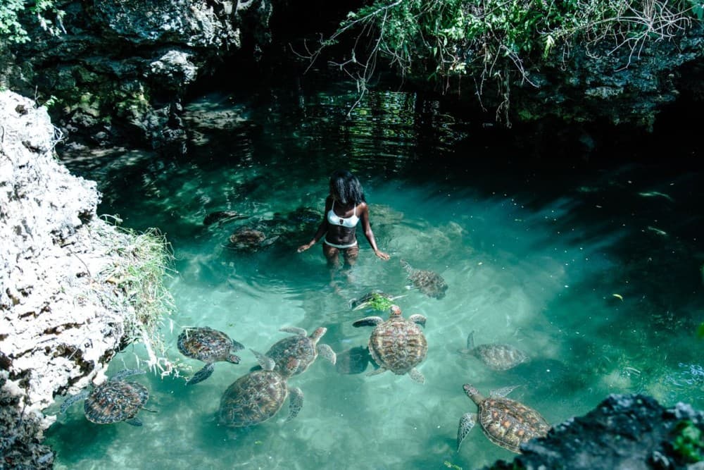 Salaam Cave Swimming with Sea Turtles in Zanzibar Kizimkazi | ®ExcursionMania - Image 8