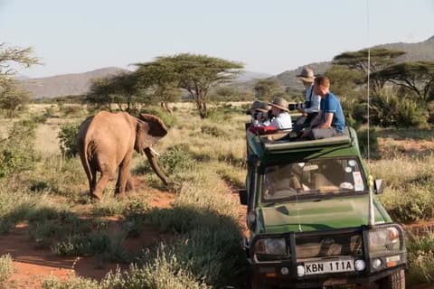 Nairobi National Park, Elephant Orphanage, Giraffe Centre Tour | ®ExcursionMania - Image 1