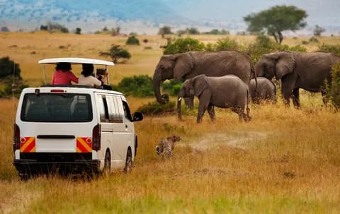 Nairobi National Park, Elephant Orphanage, Giraffe Centre Tour | ®ExcursionMania - Image 3