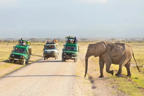 Nairobi National Park, Elephant Orphanage, Giraffe Centre Tour | ®ExcursionMania - Image 4