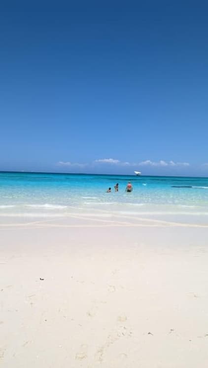 Snorkeling in Zanzibar: Mnemba Island and Dolphin adventure | ®ExcursionMania - Image 3