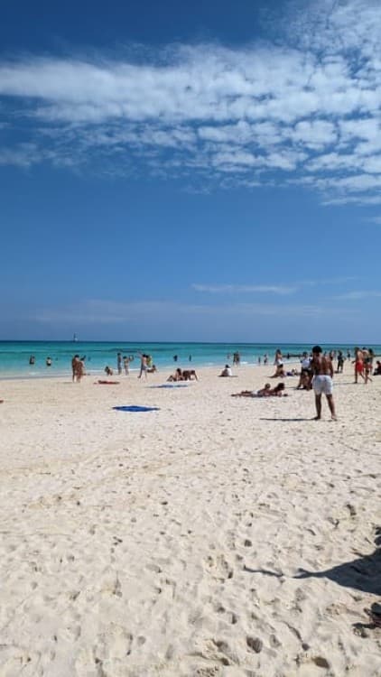 Snorkeling in Zanzibar: Mnemba Island and Dolphin adventure | ®ExcursionMania - Image 2