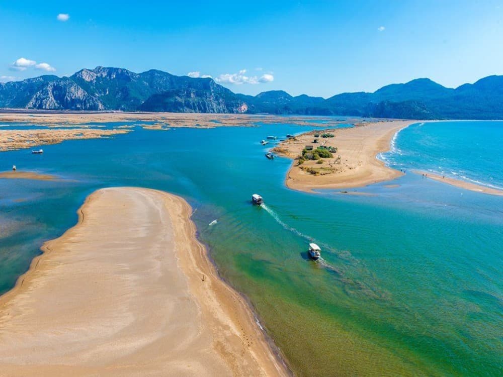 Icmeler Turtle Beach Tour W/ Mud Baths & River Cruise | ®ExcursionMania - Image 5