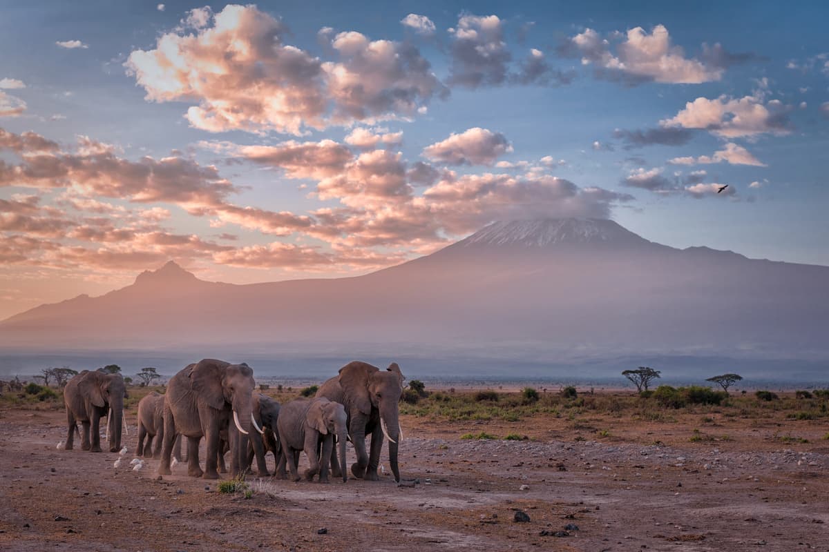 Amboseli National Park Day Trip With Masai Village Visit Tour | ®ExcursionMania - Image 11