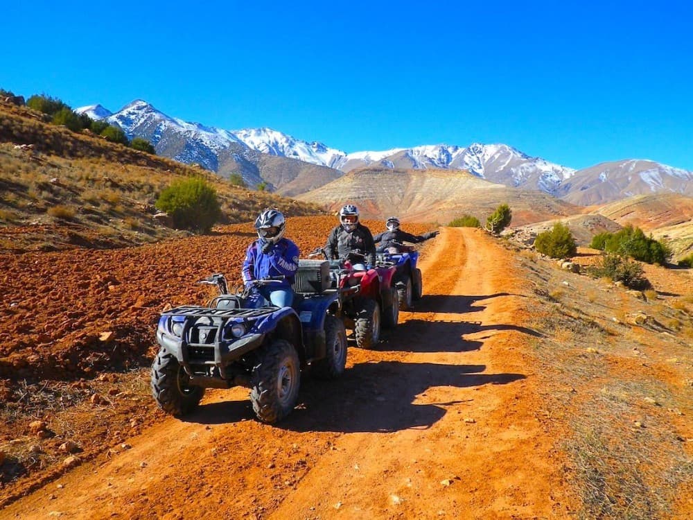 Marrakech Quad Biking Tour in Palm Grove Desert of Marrakech | ®ExcursionMania - Image 3