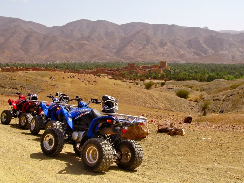 Marrakech Quad Biking Tour in Palm Grove Desert of Marrakech | ®ExcursionMania - Image 7
