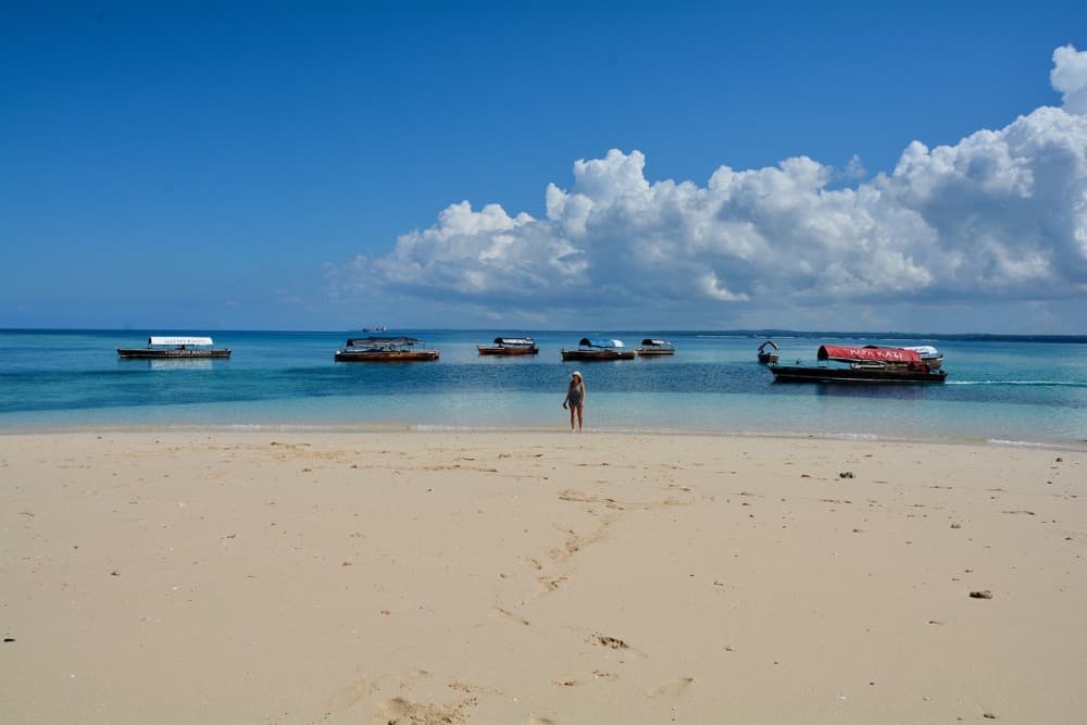 Zanzibar Nakupenda Sandbank Beach | ®ExcursionMania - Image 3