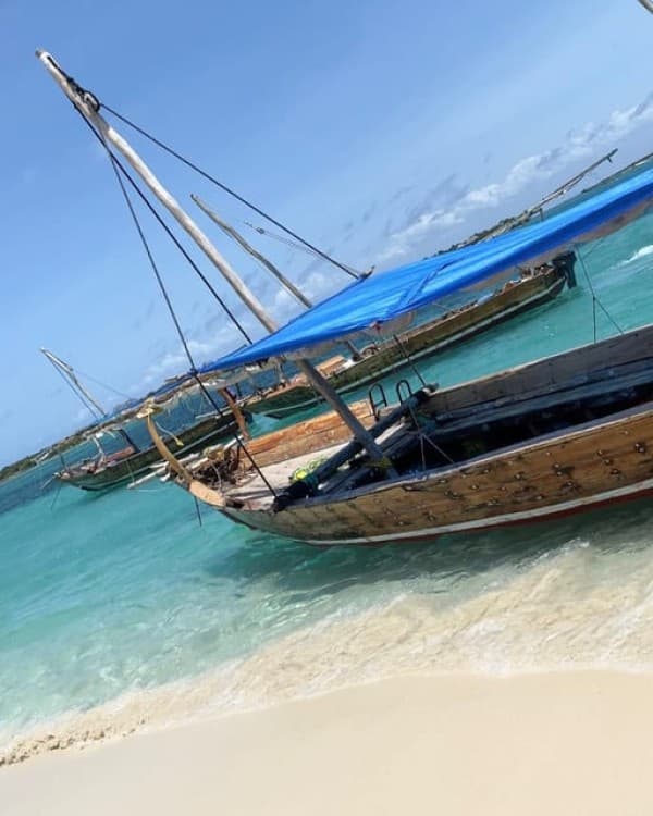 Safari blue Zanzibar by sailing dhow trip | ®ExcursionMania - Image 3