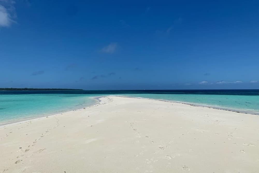 Pungume beach, sandbank BBQ and snorkeling | ®ExcursionMania - Image 2