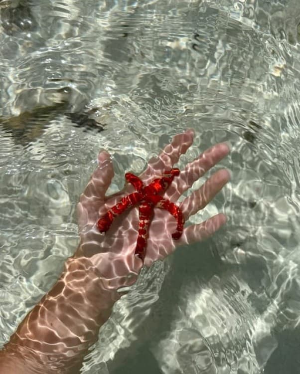 Pungume beach, sandbank BBQ and snorkeling | ®ExcursionMania - Image 6