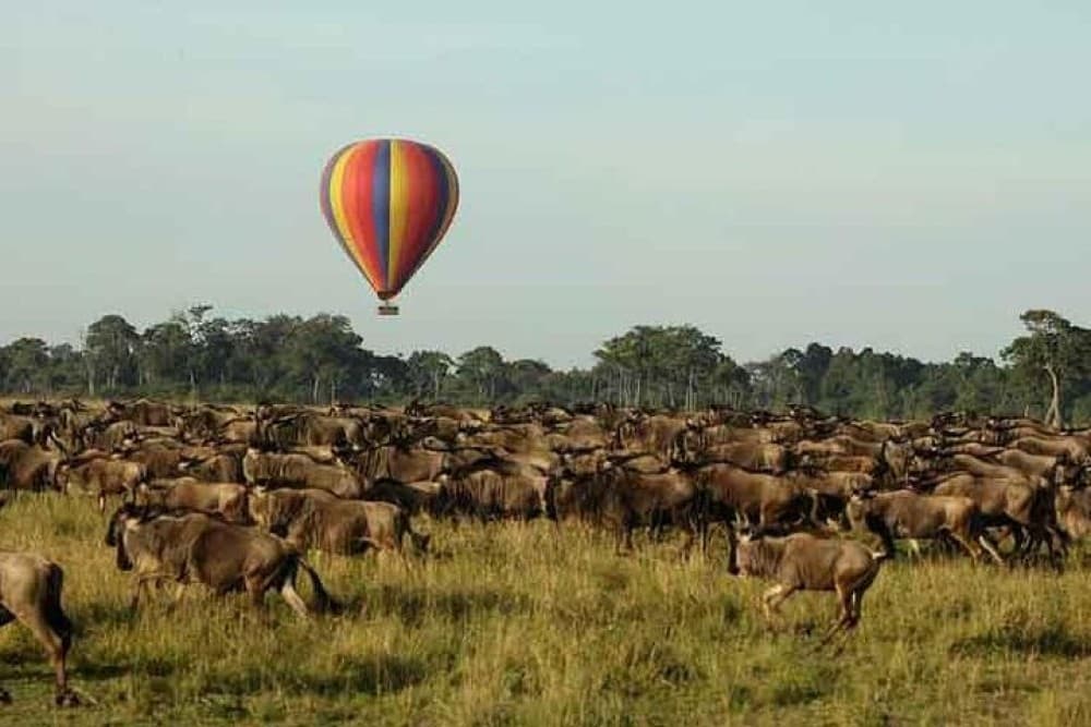 3 Days 2 Nights Masai Mara Joining Safari From Nairobi | ®ExcursionMania - Image 1