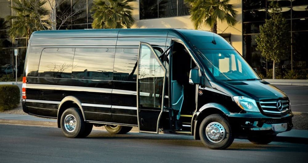 Denizli Airport to Pamukkale Shuttle Transfer | ®ExcursionMania - Image 3