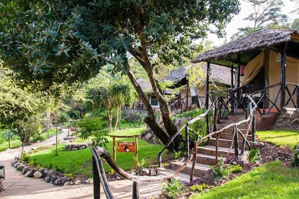 Day Trip to Hells Gate & Optional Boat Ride at Lake Naivasha | ®ExcursionMania - Image 6