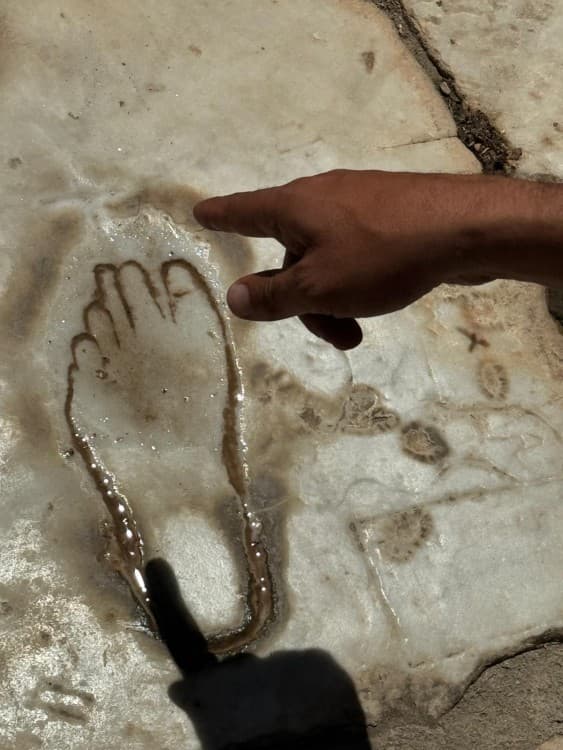 Antalya: Full-Day Ephesus & The House of Mary by Plane | ®ExcursionMania - Image 11