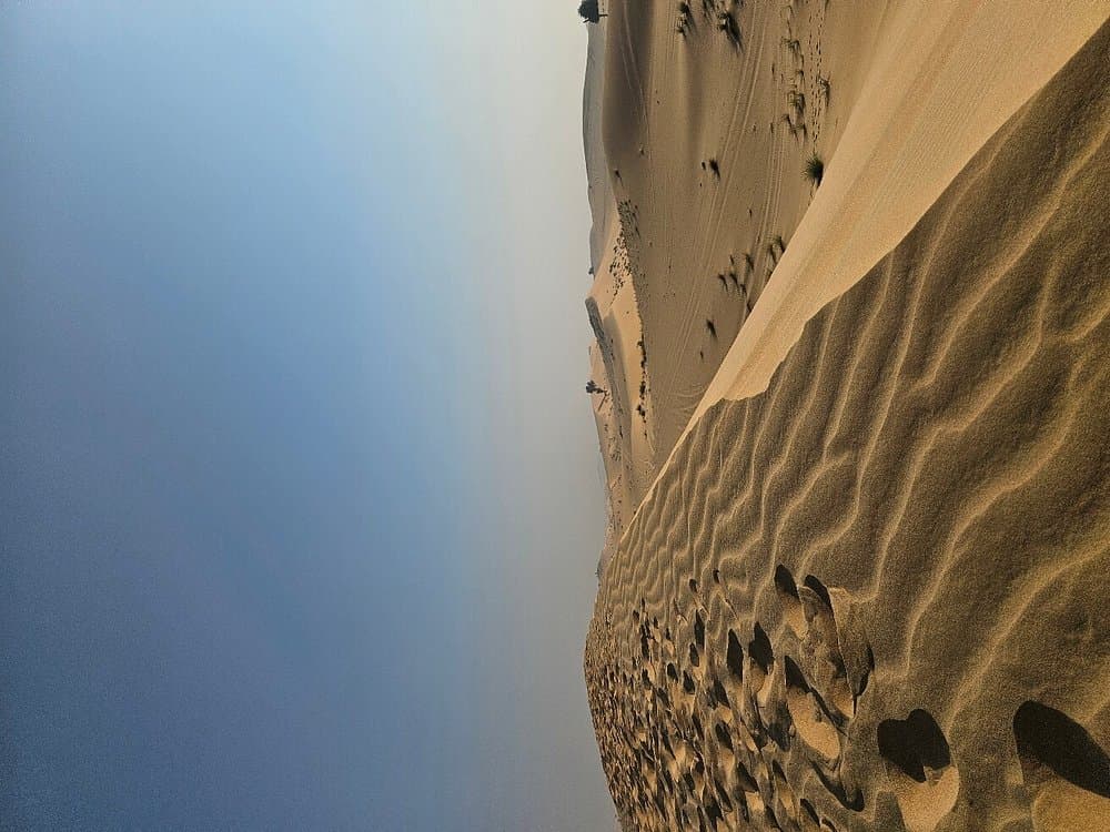 Abu Dhabi Morning Desert Safari with Camel Ride | ®ExcursionMania - Image 5