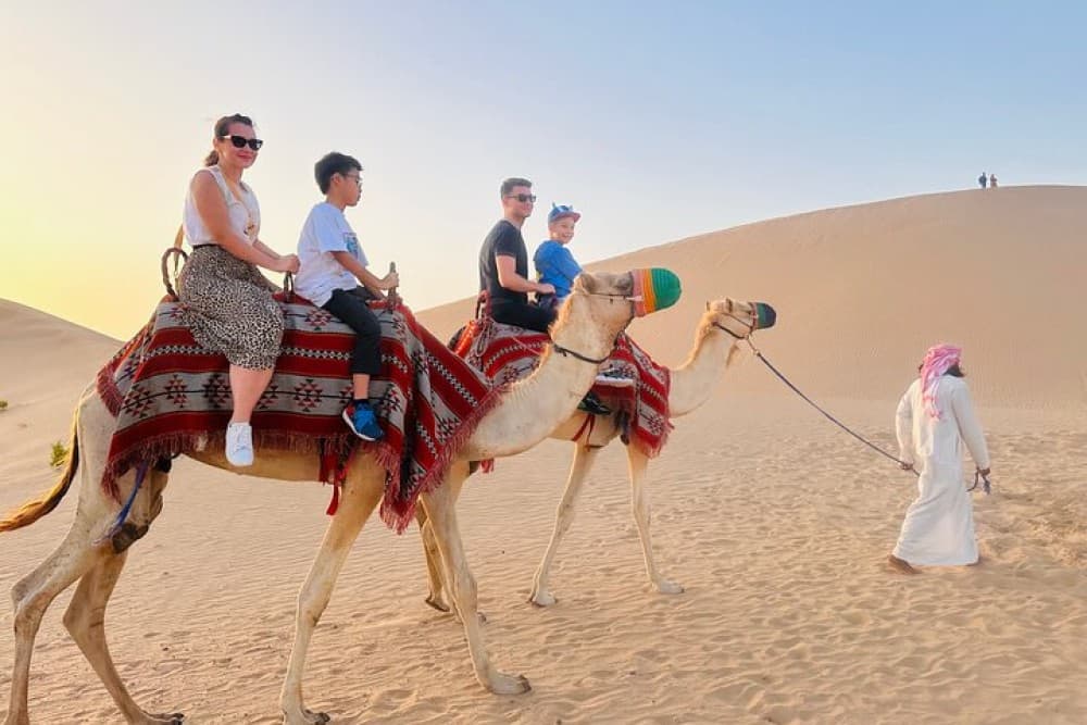 Abu Dhabi Morning Desert Safari with Camel Ride | ®ExcursionMania - Image 8