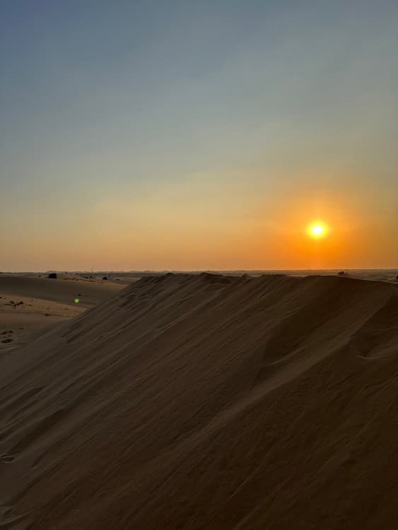 Abu Dhabi: 4x4 Desert Safari with Sandboarding | ®ExcursionMania - Image 3