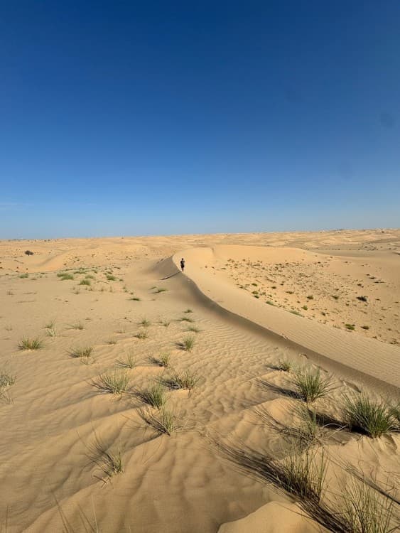 Abu Dhabi: 4x4 Desert Safari with Sandboarding | ®ExcursionMania - Image 6