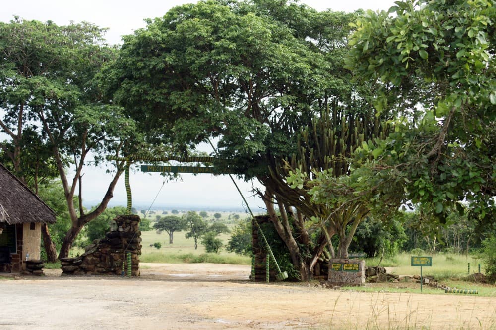 Safari Wildlife 3 Days 2 Night From Zanzibar to Mikumu | ®ExcursionMania - Image 4