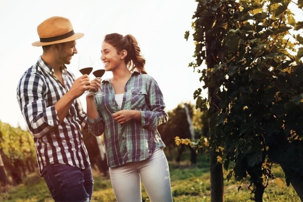 Private Santorini Fine Wine Tasting | ®ExcursionMania - Image 10