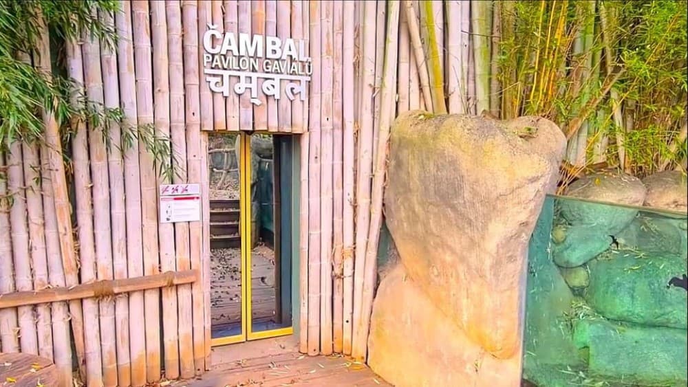 Prague: Prague Zoo Audio Guide with E-Ticket | ®ExcursionMania - Image 5