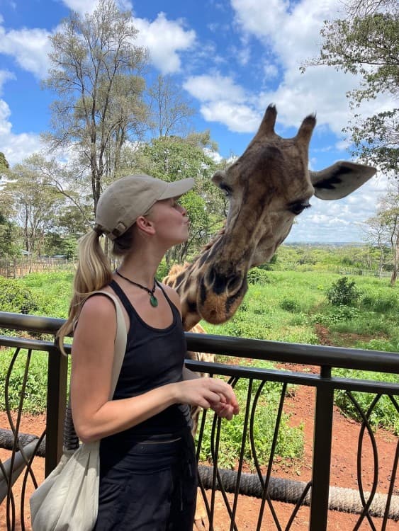 Nairobi National Park, Sheldrick Elephant, Giraffe Centre Tour | ®ExcursionMania - Image 2