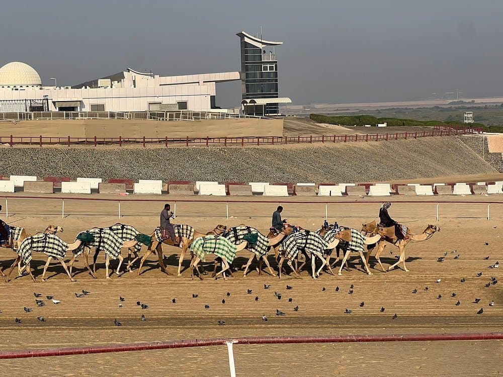 Al Wathba Fossil Dunes and Camel Race Track Trip Abu Dhabi | ®ExcursionMania - Image 5