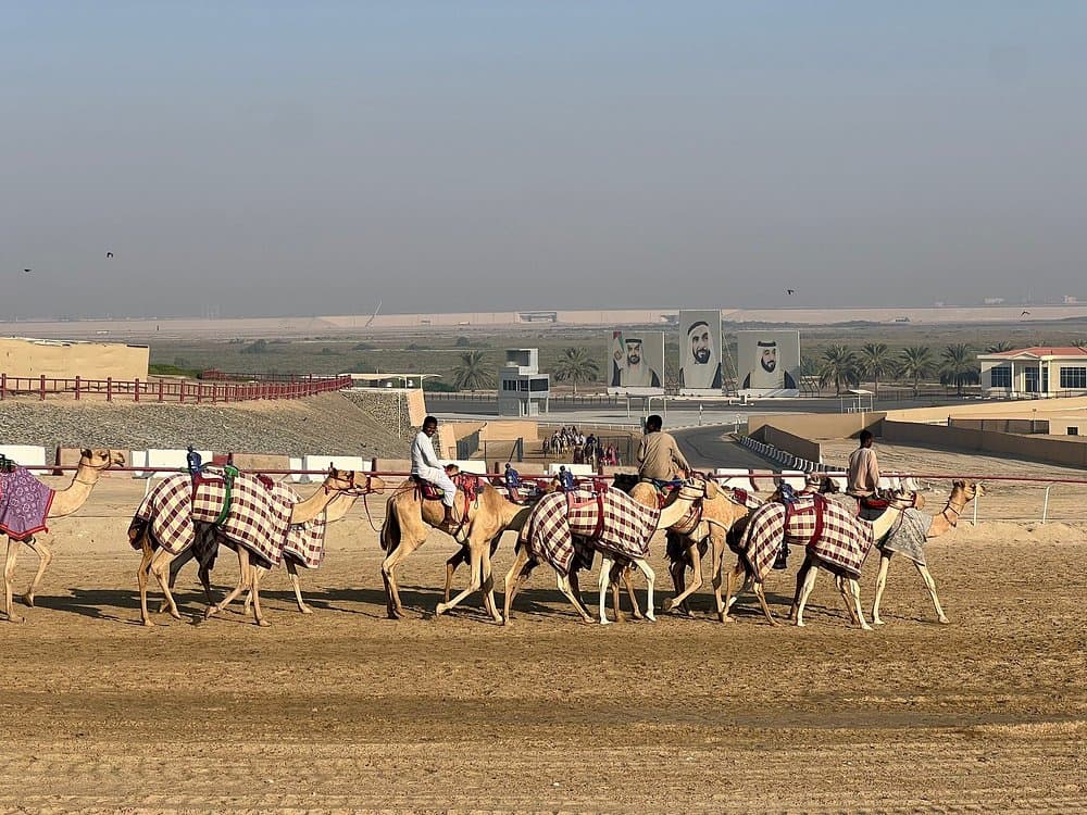 Al Wathba Fossil Dunes and Camel Race Track Trip Abu Dhabi | ®ExcursionMania - Image 8