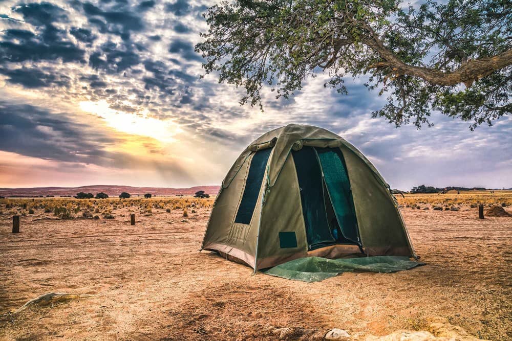 Private Overnight Camping in Liwa with BBQ Dinner & Breakfast | ®ExcursionMania - Image 7