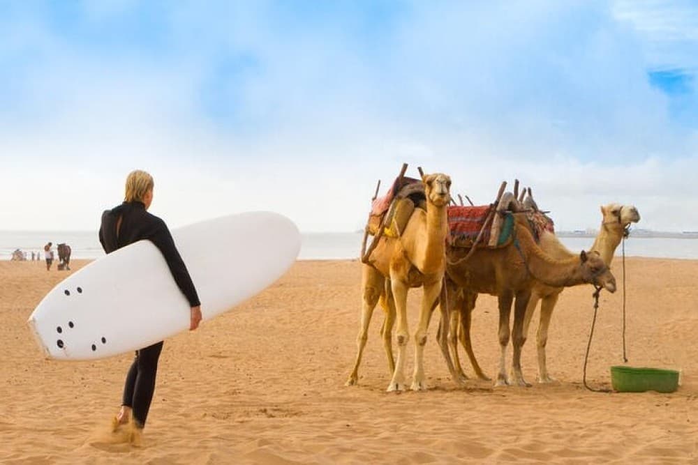 From Marrakech:  Essaouira Day Trip The Ancient Mogador City and Coast | ®ExcursionMania - Image 6