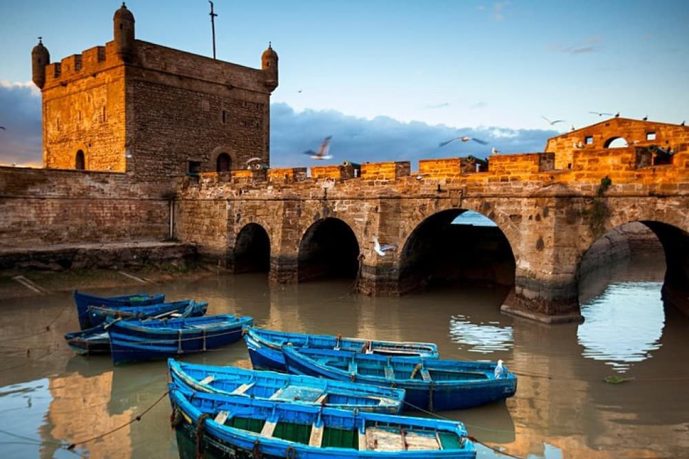 From Marrakech:  Essaouira Day Trip The Ancient Mogador City and Coast | ®ExcursionMania - Image 7
