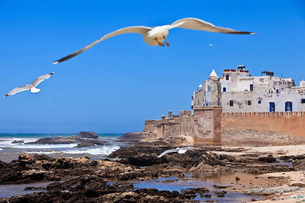 From Marrakech:  Essaouira Day Trip The Ancient Mogador City and Coast | ®ExcursionMania - Image 3