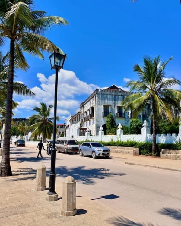 Nakupenda Sandbank and Stone Town Tour | ®ExcursionMania - Image 8