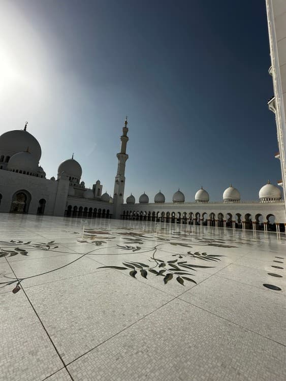 Abu Dhabi: Half Day Sightseeing Tour with Pick up & Drop off | ®ExcursionMania - Image 10